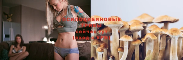 spice Остров