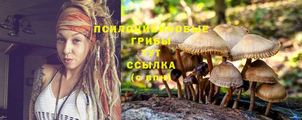 стафф Алексеевка